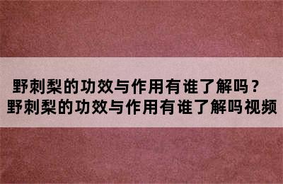 野刺梨的功效与作用有谁了解吗？ 野刺梨的功效与作用有谁了解吗视频